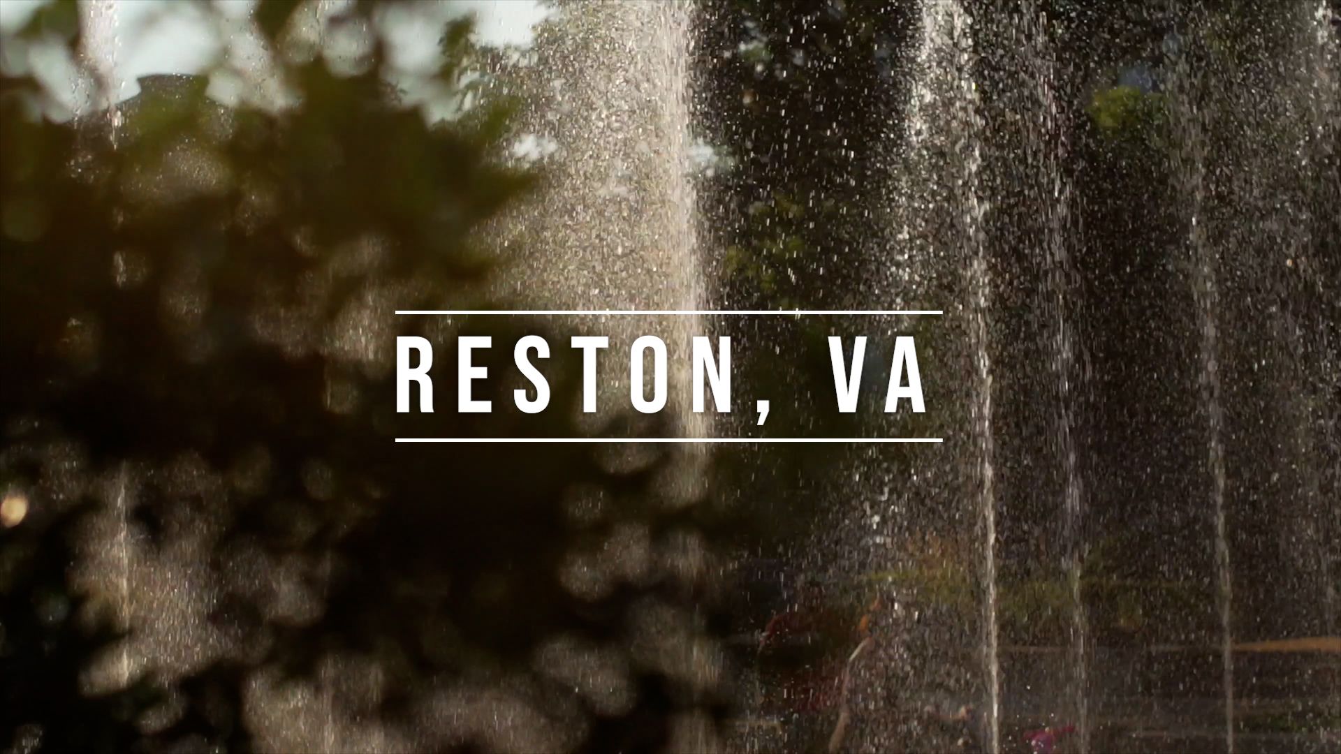 Reston, VA